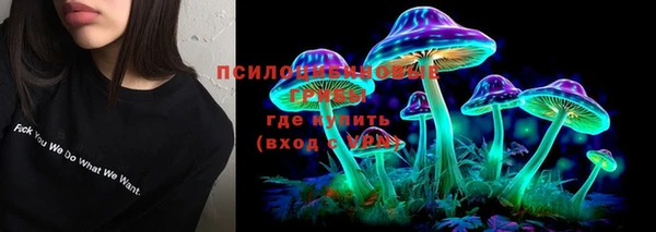 тгк Новокубанск