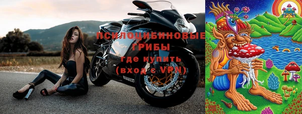 тгк Новокубанск