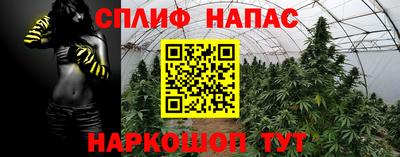 крисы Апрелевка