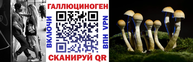 Галлюциногенные грибы ЛСД Костомукша