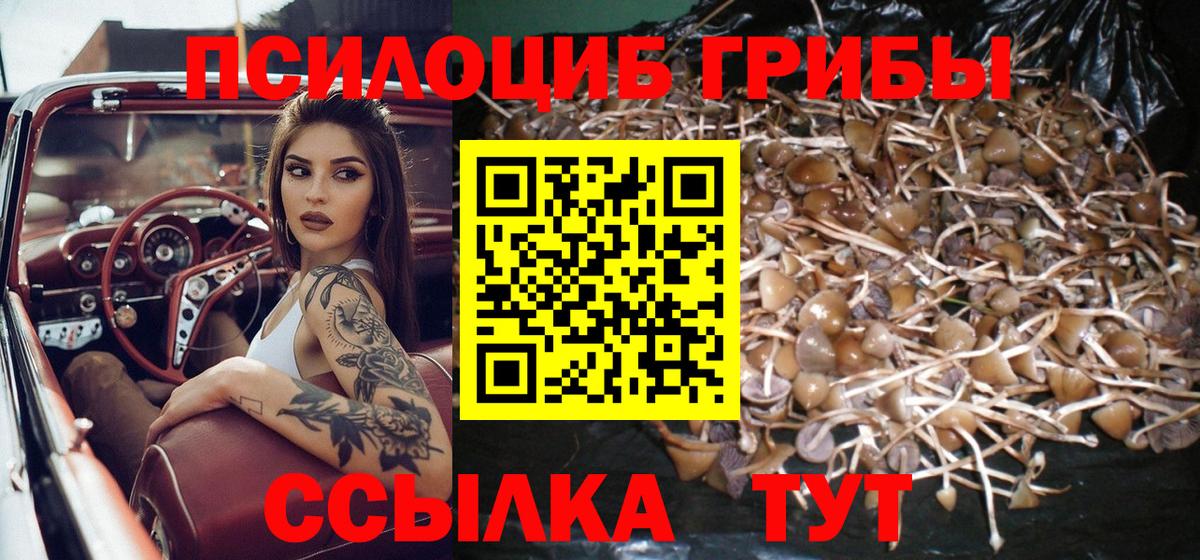 Костомукша  Псилоцибиновые грибы мухоморы  Вход с VPN  Галлюциногенные грибы Psilocybine cubensis 
