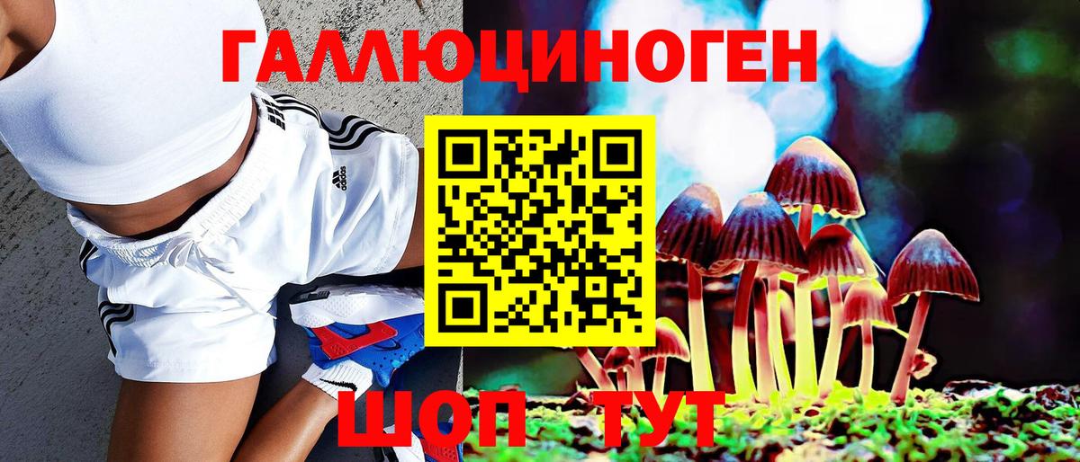 Галлюциногенные грибы мухоморы Костомукша