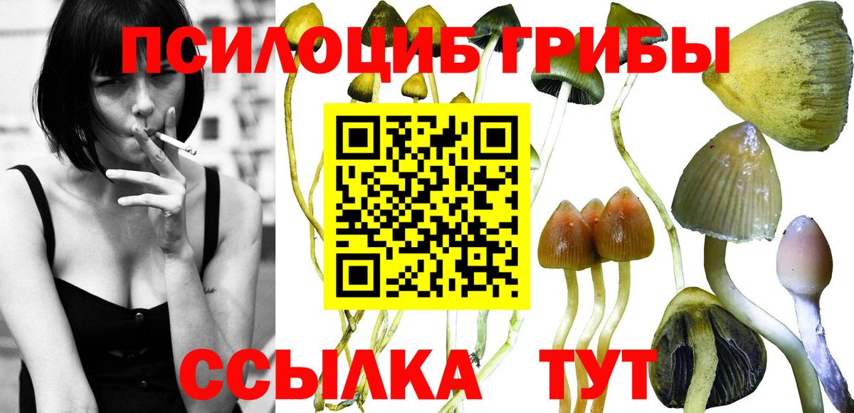 Галлюциногенные грибы ЛСД  Костомукша  Галлюциногенные грибы Psilocybe 